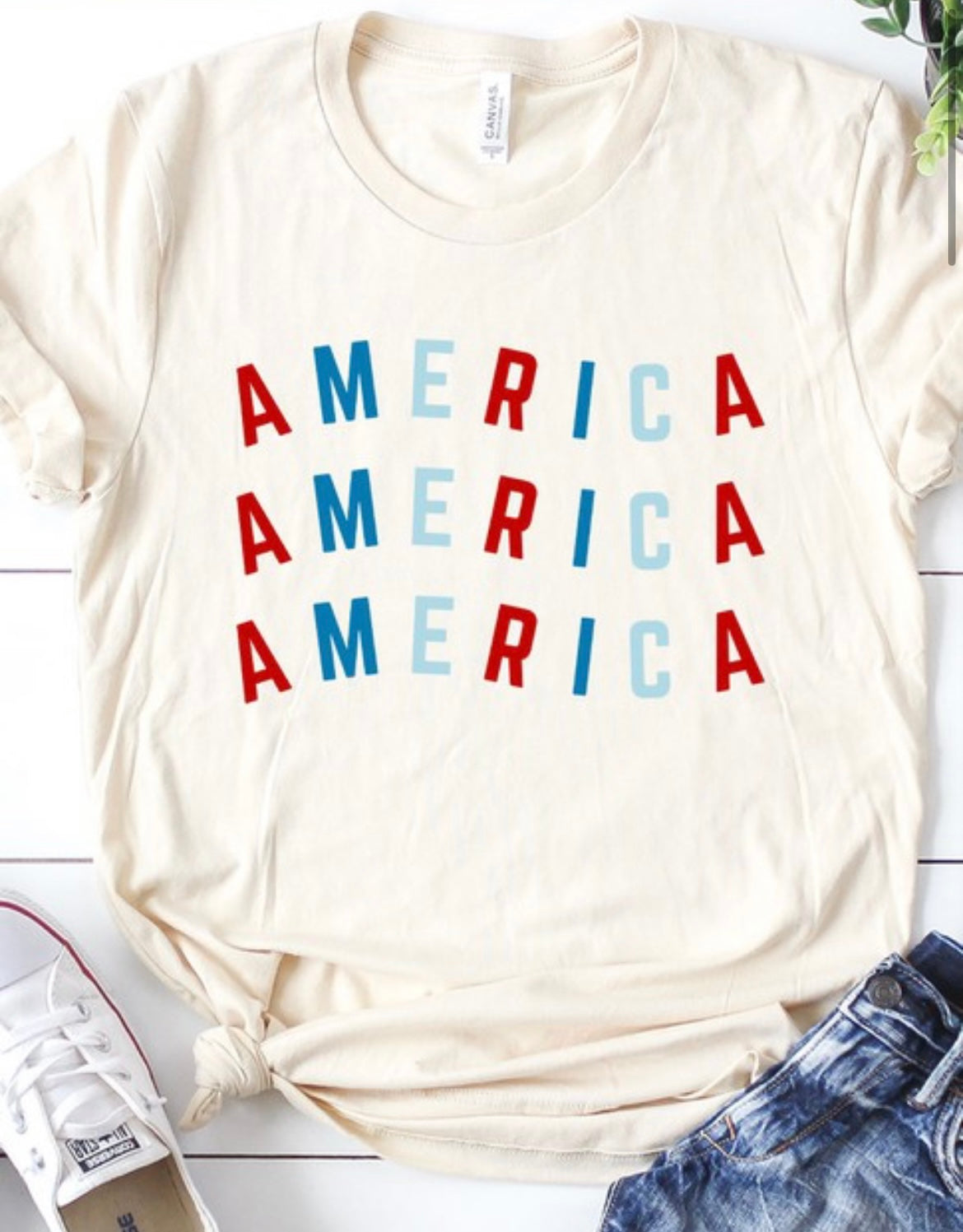 RED AND BLUE AMERICA GRAPHIC TEE