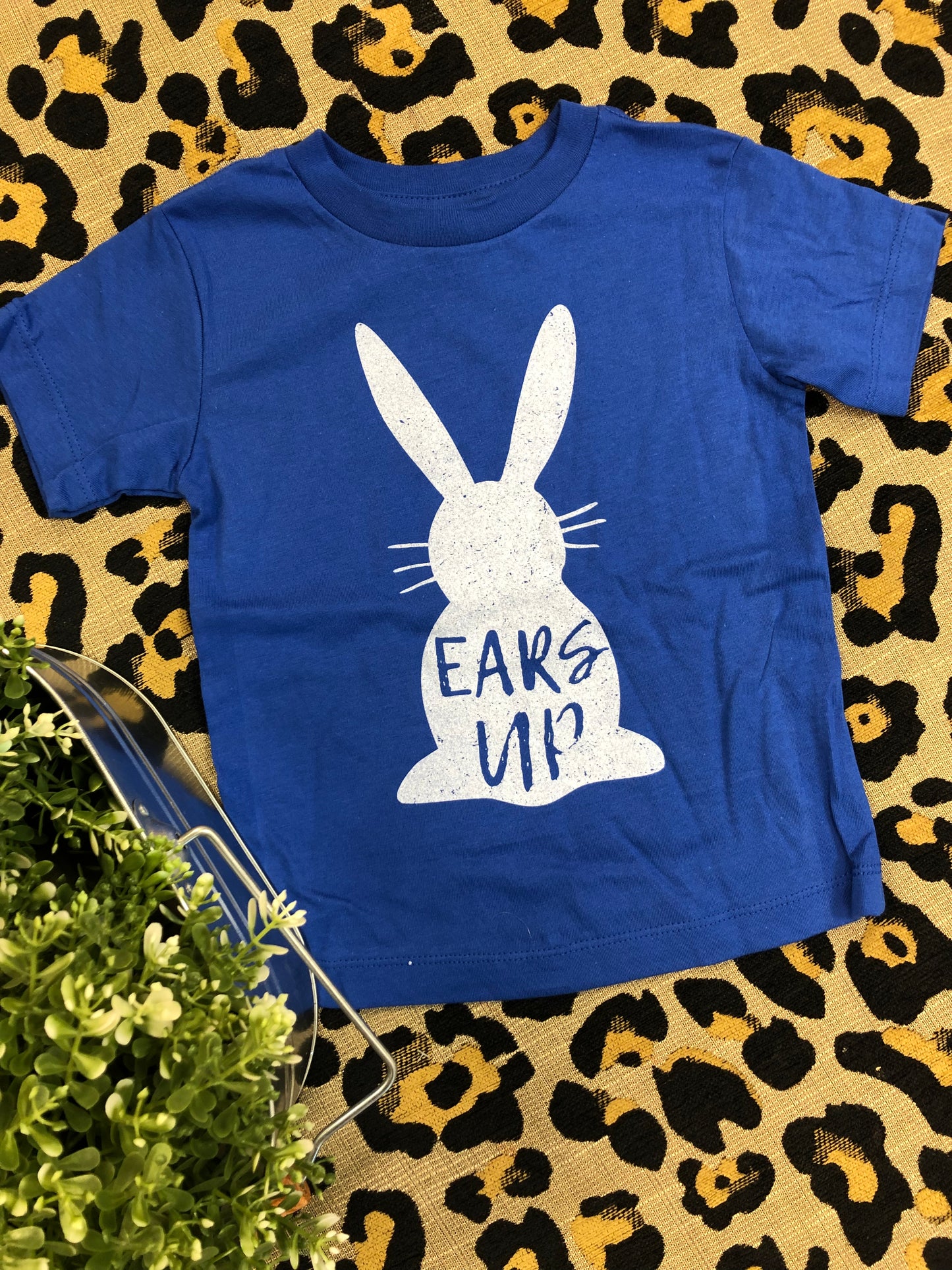 EARS UP {LITTLES}