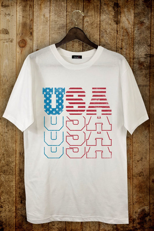 BOYFRIEND FIT USA TEE