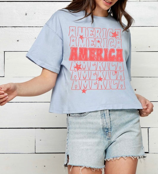 AMERICA CROP GRAPHIC TEE