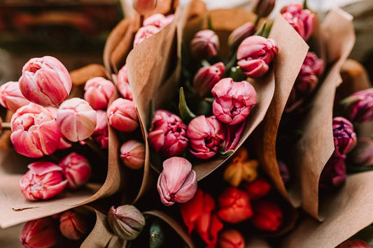 TULIPS