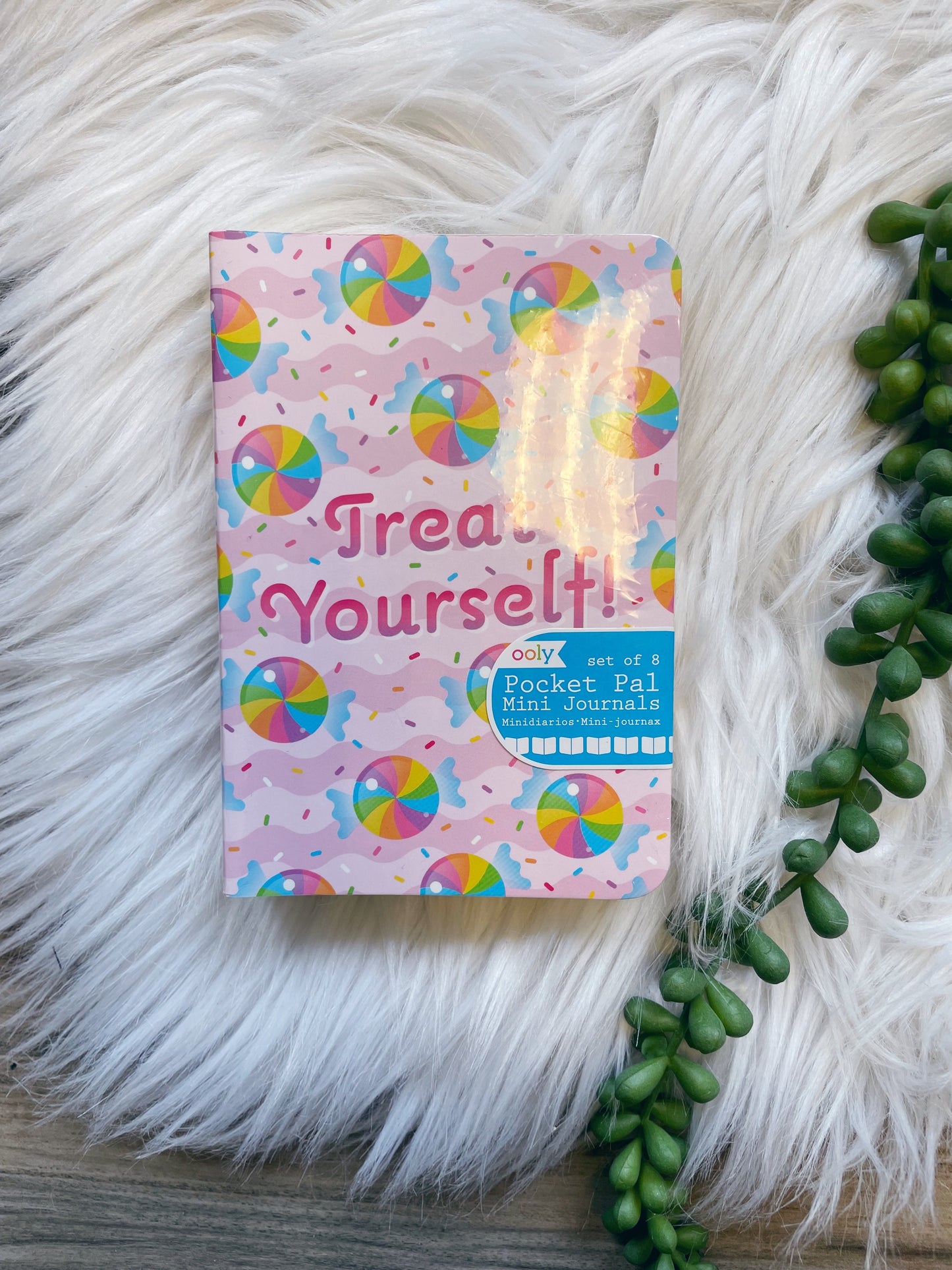 MINI POCKET PAL JOURNALS