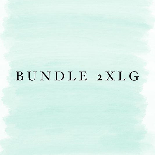 BUNDLE SALE {2XL}#2