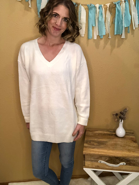 V NECK SWEATER
