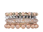 SPIKE Erimish set