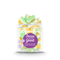 CANDY CLUB FOCUS ON THE GOOD